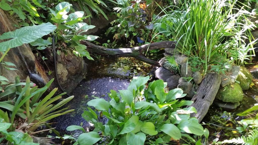 Cairns Gateway Resort Buitenkant foto